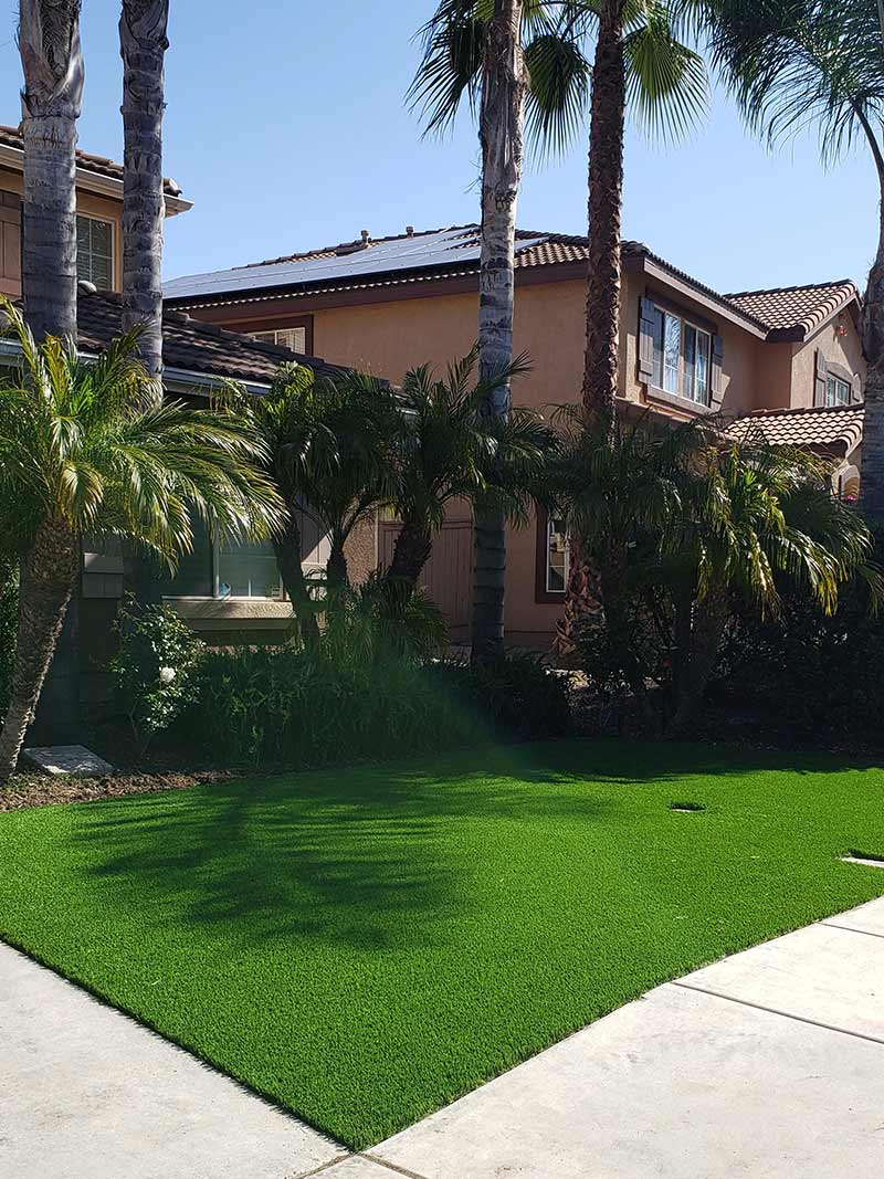Artificial Grass area for Pets